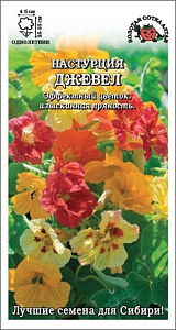 Настурция_Джевел см (куст)_1_г._Золотая Сотка Алтая