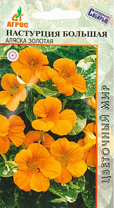 Настурция_Аляска Золотая (Цветочный Мир) (Проверено Сибирью)_1_г._АГРОС