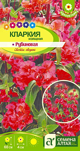 Кларкия_Изящная Рубиновая_0,3_г._Семена Алтая