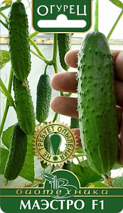 Огурец_Маэстро F1_0,04_шт._Биотехника