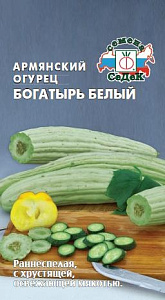 Дыня_Армянский огурец Богатырь белый_0,5_г._Седек