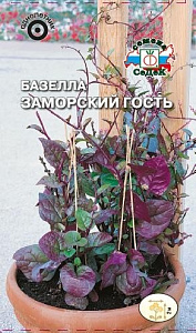 Базелла_Заморский гость_0,3_г._Седек