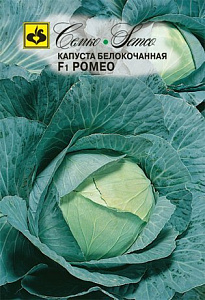 Капуста_б/к_Ромео F1 (позд)_0,2_г._Семко