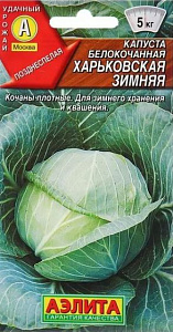 Капуста_б/к_Харьковская зимняя_0,04_г._Аэлита