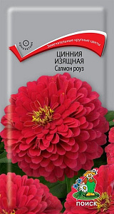 Цинния_Салмон роуз_0,4_г._Поиск