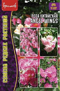 Роза_Angel Wings (китайская) б/ф_7_шт._Григорьев