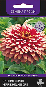Цинния_Свизл Черри энд Айвори_7_шт._Поиск