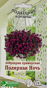Алиссум (лобулярия)_Полярная Ночь (Подвесные Корзины)_0,01_г._ЕВРОСЕМЕНА