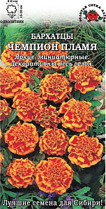 Бархатцы (тагетис)_Чемпион Пламя_10_шт._Золотая Сотка Алтая