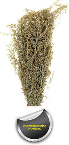 Трава-запарник ПОЛЫНЬ (в упаковке)