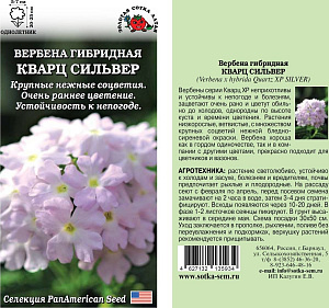 Вербена_Кварц Сильвер_5_шт._Золотая Сотка Алтая