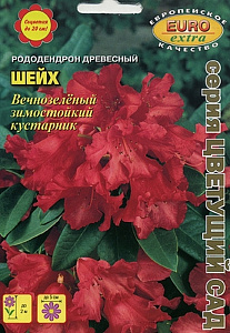 Рододендрон_Шейх древесный_0_г._Аэлита Э
