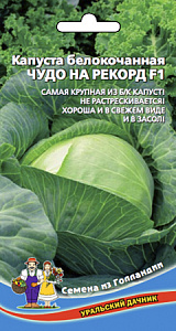 Капуста_б/к_Чудо на рекорд F1_0,3_г._Уральский Дачник