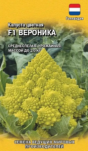 Капуста_цветная_Вероника F1 (Голландия)_5_шт._Гавриш