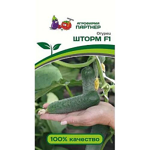 Огурец_Шторм F1_5_шт._Партнер
