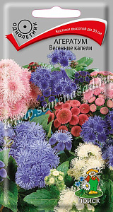 Агератум_Весенние Капели см_0,2_г._Поиск