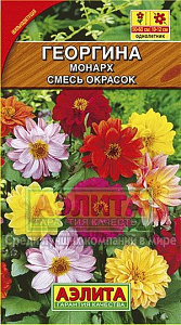 Георгин_Монарх см_0,3_г._Аэлита