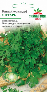 Кориандр (кинза)_Янтарь_2_г._Седек