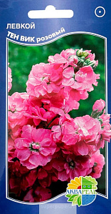 Левкой (маттиола)_Тен Вик Роуз_0,1_г._Акварель