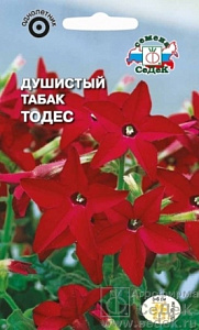 Табак душистый_Тодес (красный)_0,1_г._Седек