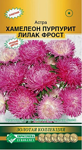 Астра_Пурпурит Лилак Фрост (хризантемовидная) (Золотая Коллекция)_5_шт._Евросемена