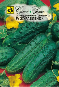 Огурец_Журавленок F1 24 год._0,04_г._Семко