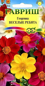 Георгин_Веселые ребята см_0,3_г._Гавриш