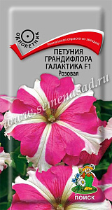 Петуния_Галактика F1 Розовая_10_шт._Поиск