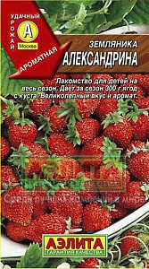 Земляника_Александрина альпийская_0_г._Аэлита
