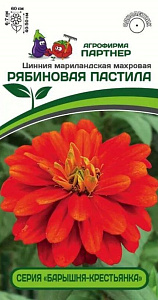 Цинния_Рябиновая Пастила (Барышня-Крестьянка)_5_шт._Партнер