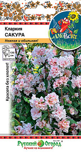 Кларкия_Сакура_50_шт._НК