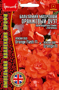 Бальзамин_Оранжевый Дуэт F1 (махр серия Athena) б/ф_4_шт._Григорьев