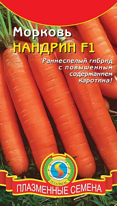 Морковь_Нандрин F1_0,04_шт._Плазменные семена