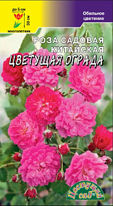 Роза_Цветущая Ограда (китайская)_5_шт._Цветущий Сад