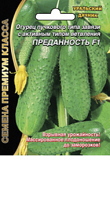 Огурец_Преданность F1_7_шт._Уральский Дачник