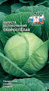 Капуста_б/к_Скороспелая_0,5_г._Седек