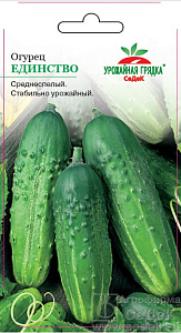 Огурец_Единство_0,5_г._Седек