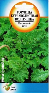 Горчица_Волнушка_190_шт._Дом Семян С-П