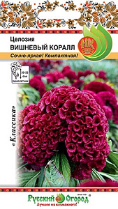 Целозия_Вишневый коралл (гребенчатая)_60_шт._НК