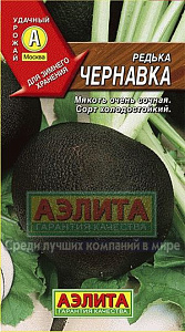 Редька_Чернавка_1_г._Аэлита