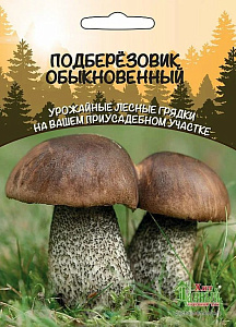 Мицелий_Подберёзовик Обыкновенный б/ф_30_мл._Уральский Дачник