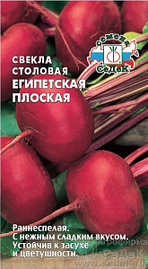 Свекла_Египетская плоская_3_г._Седек