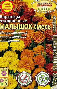 Бархатцы (тагетис)_Малышок см_0,3_г._Аэлита Э