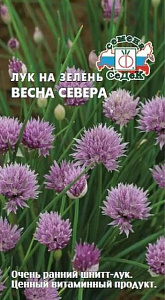 Лук_Весна Севера шнитт (многолетний)_0,04_г._Седек