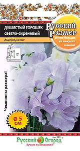 Горошек_Русский размер светло-сиреневый_6_шт._НК