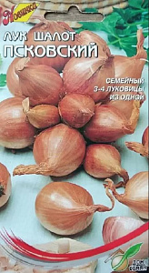 Лук_Псковский шалот_0,04_шт._Дом Семян С-П