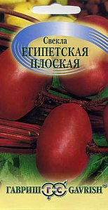 Свекла_Египетская плоская_3_г._Гавриш