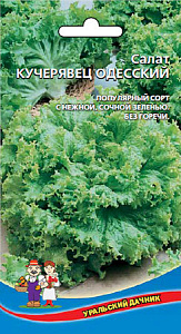 Салат_Кучерявец Одесский (п/кочан)_0,3_г._Уральский Дачник
