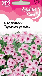 Флокс_Чаровница Розовая (Розовые сны)_0,04_г._Гавриш