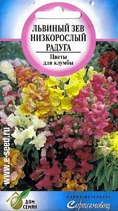 Львиный зев (антирринум)_Радуга см_350_шт._Дом Семян С-П